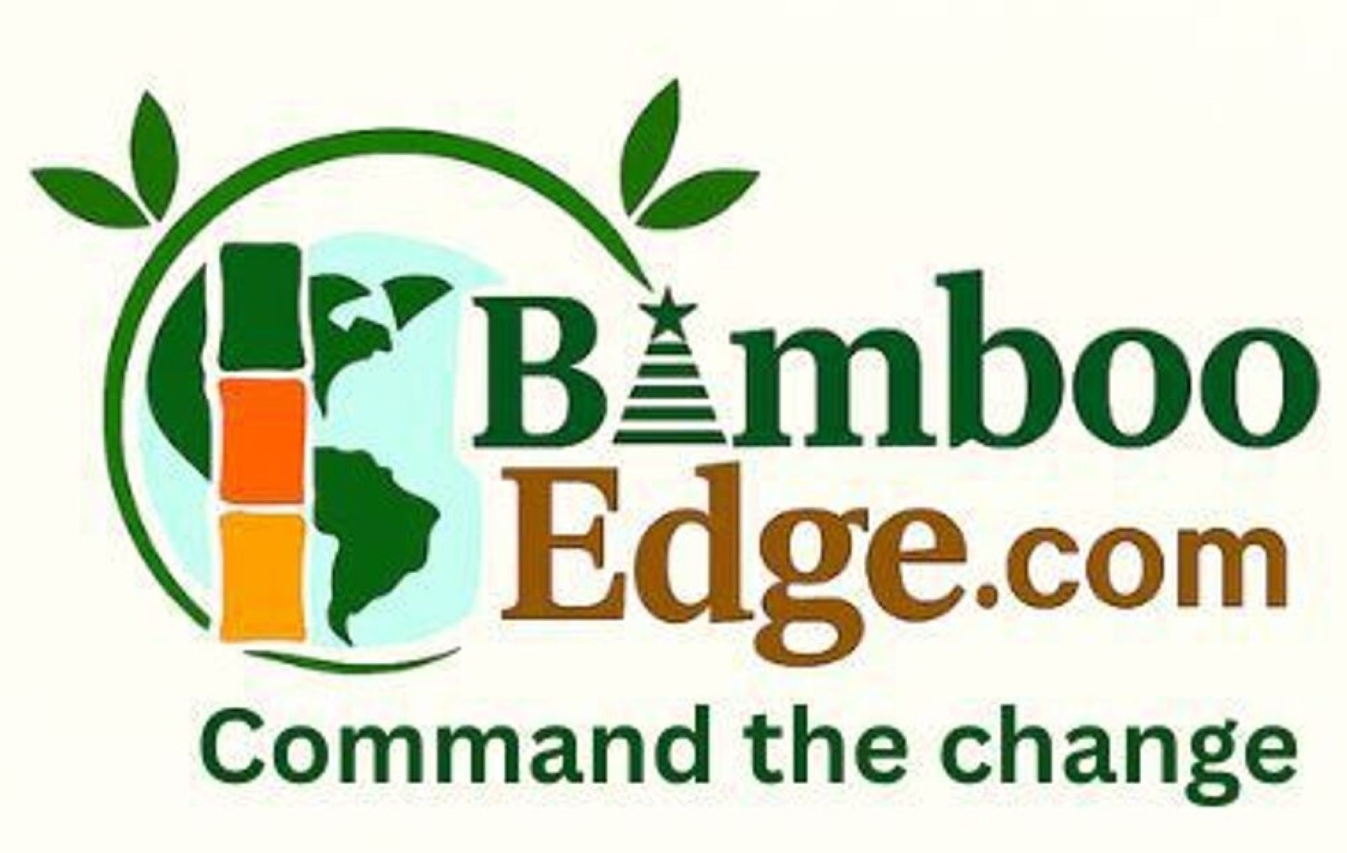 Bamboo